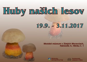 events/2017/10/admid0000/images/Huby našich lesov-pozvánka.jpg